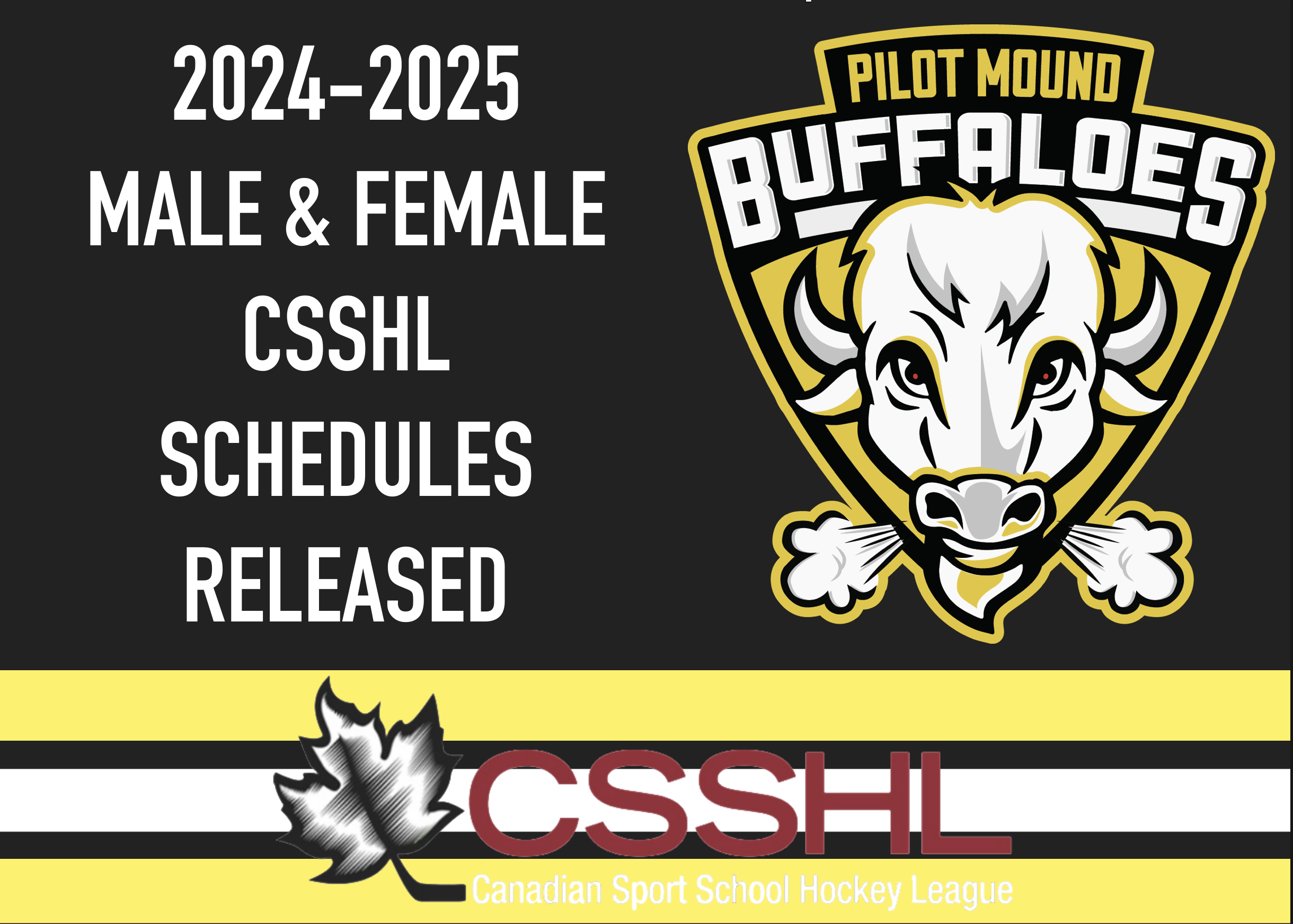 Read more about the article CSSHL RELEASES 2024/25 WESTERN DIVISION SCHEDULE